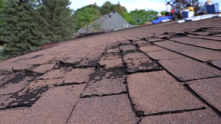 Best Wood Shake Roofing  in West Chatham, MA